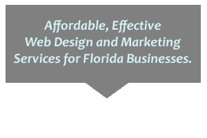 Florida Website Design and Search Engine Optimization