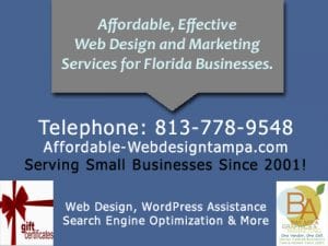 Florida small business services